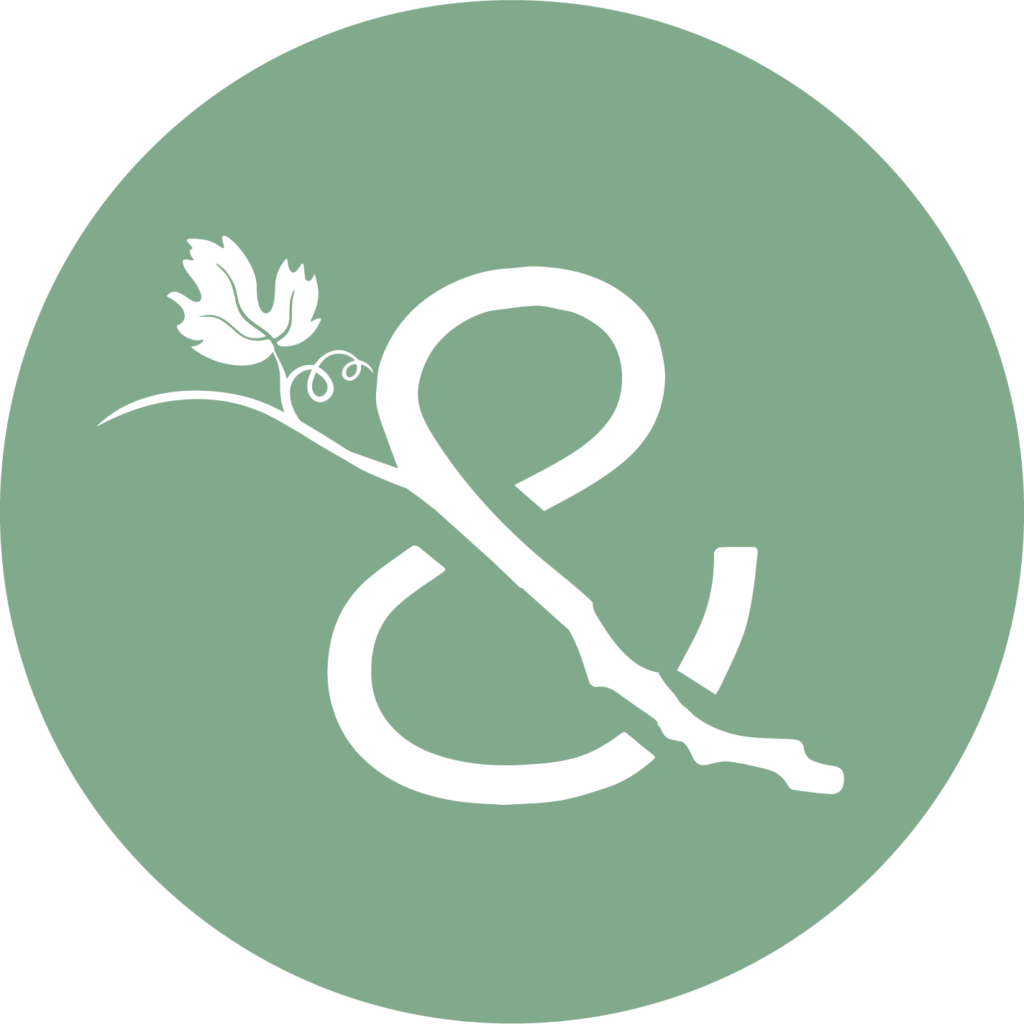 V&BC Events Christian Counseling Lakewood WA Vine and Branches