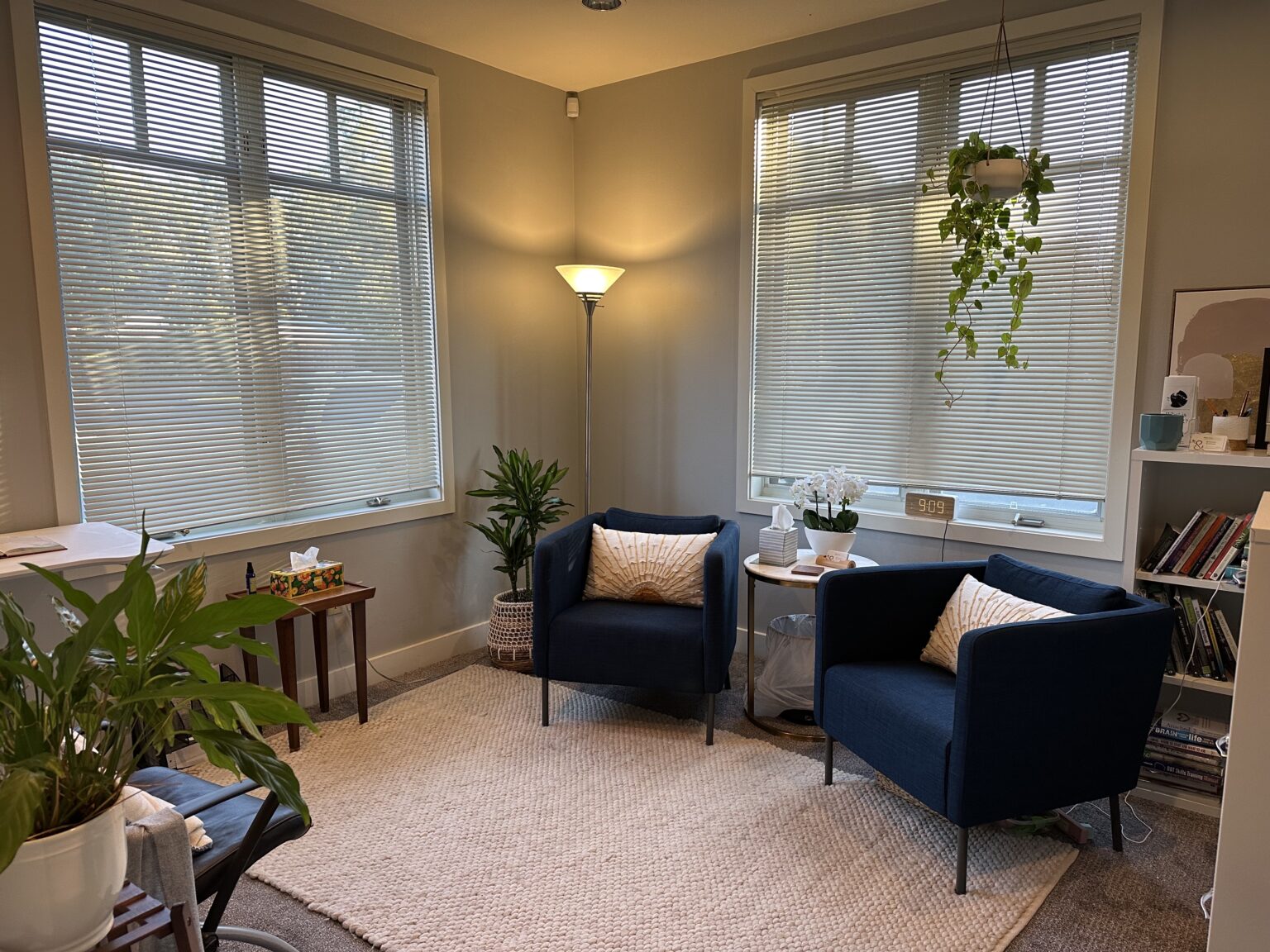 Robyn Crout, MSW, LICSW Christian Counseling Lakewood WA Vine and